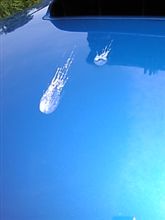 ひどいよぅ
