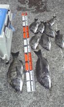 足算間違えました。