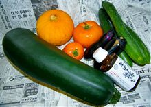 高原野菜♪