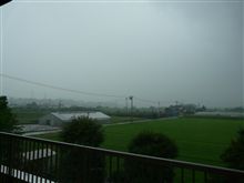 雨