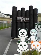 行ってきました。