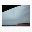 ７月２９日　雨上がりな水曜日 ...