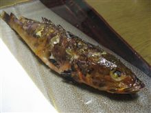 ホウボウの塩焼き