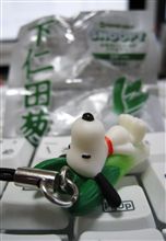 今日は　〇〇〇葱