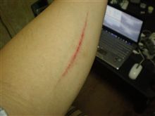 自分撮りって難しいのね・・・