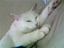 明日から夏休み～。