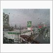 背中が痛い(&gt;_&amp;lt;)
