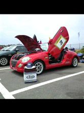 DMSミィーティング楽しいですよ！