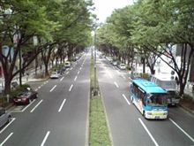 ８月だぁ､､､こんにちは