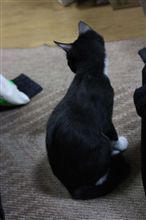 仕事一区切り