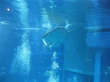 『夏休みの過ごし方』