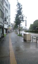 Good morning!です♪【2009*08*02】