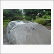 朝なんですけど…雨なんですけ ...