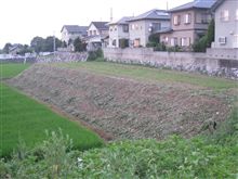 どて・・・。
