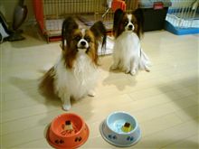 ぱぴたん＆れおたんのオヤツ