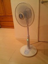 本日の作業…のあとに