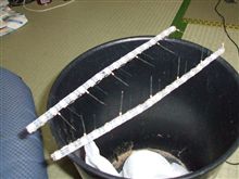 仕込み着々とｗ