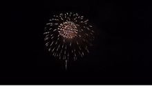 今日も２階の窓から