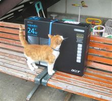 PCモニター選びに４時間半