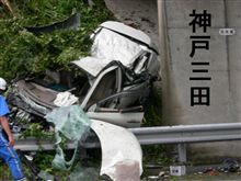 今日のは特別凄かったです。