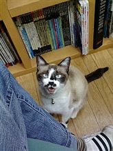 胸ぐらつかんで問い詰めたい！