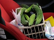 巨大野菜を貰った