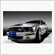 FORD MUSTANG S ...