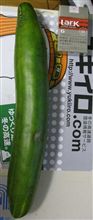 野菜もメタボな我が家(;&#180;〜｀;)