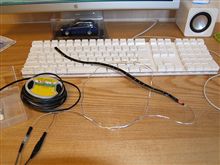 LED カーテシランプ連動リアドア　リベンジ版