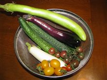 カラフルな盛り合わせ