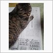また新聞読んでる～