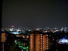 花火が見えたよ♪