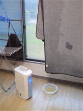 床上浸水(・ω・)