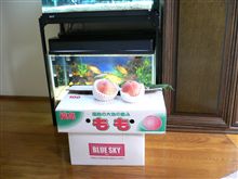 ふくすま産の…