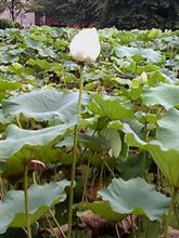 梅雨明けしましたね！