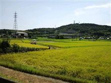 今日も暑い