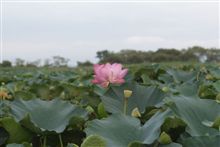 なんで? なんで?