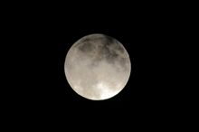 昨夜は十五夜