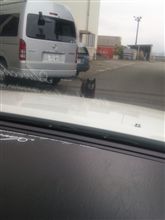 バカチンがっ！！