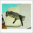 占領されました・・・