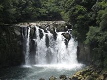 夏の思い出・・・