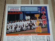 届きました