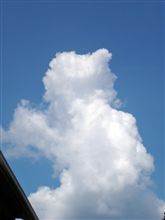 夏空