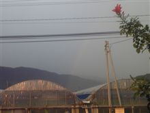 梅雨明け？
