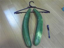 こんなことって? こんなことって?