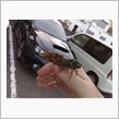 チューされそうでした（汗）