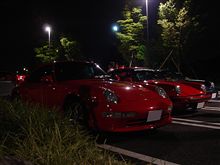 ナイト サファリ !?