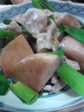 なんとなくベトナム料理