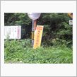 酷道マニア定番の！