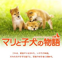 　家族で号泣。。。
